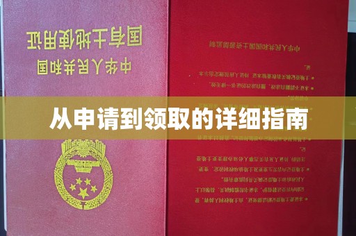 景洪从申请到领取的详细指南